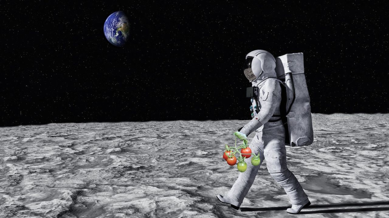 european-space-agency
