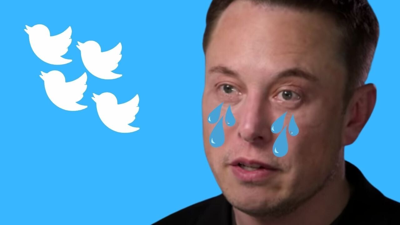 musk-hurting-twitter-shareholders